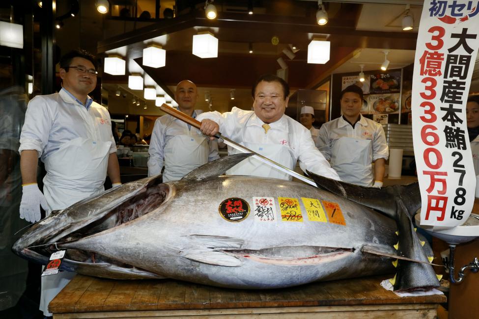 Cách làm cá ngừ tại Nhật Bản