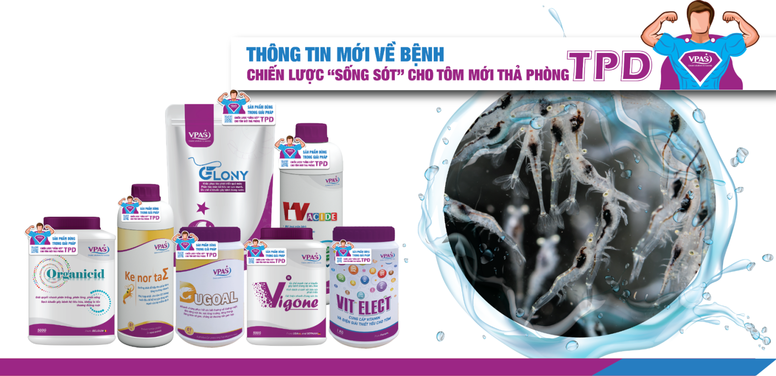 TPD và chiến lược phòng bệnh cho tôm mới thả